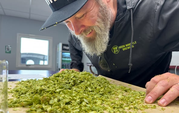 Hopsteiner Alora Hops