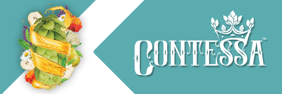 4_Contessa