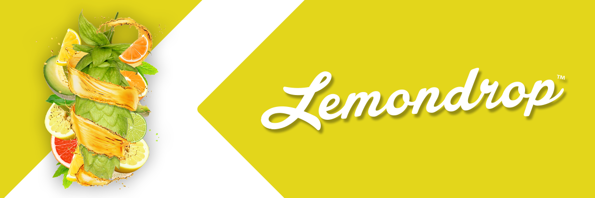 6_Lemondrop
