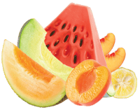 hopsteiner-alora-fruits
