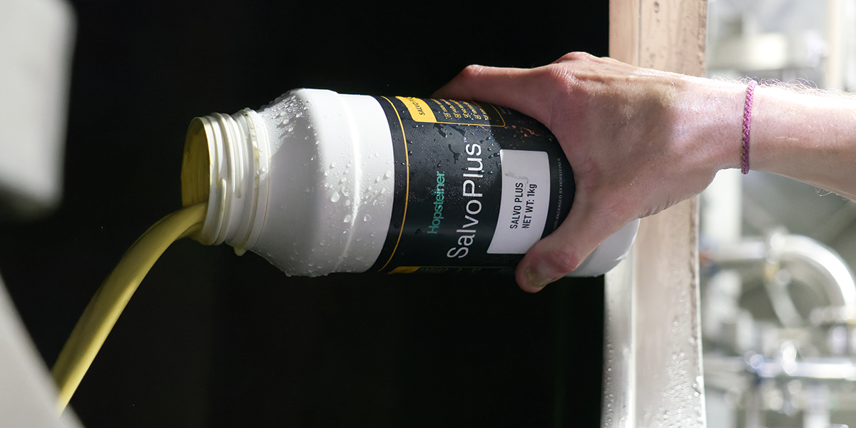 Hydrating with Hops: Your Key To Dry January Success