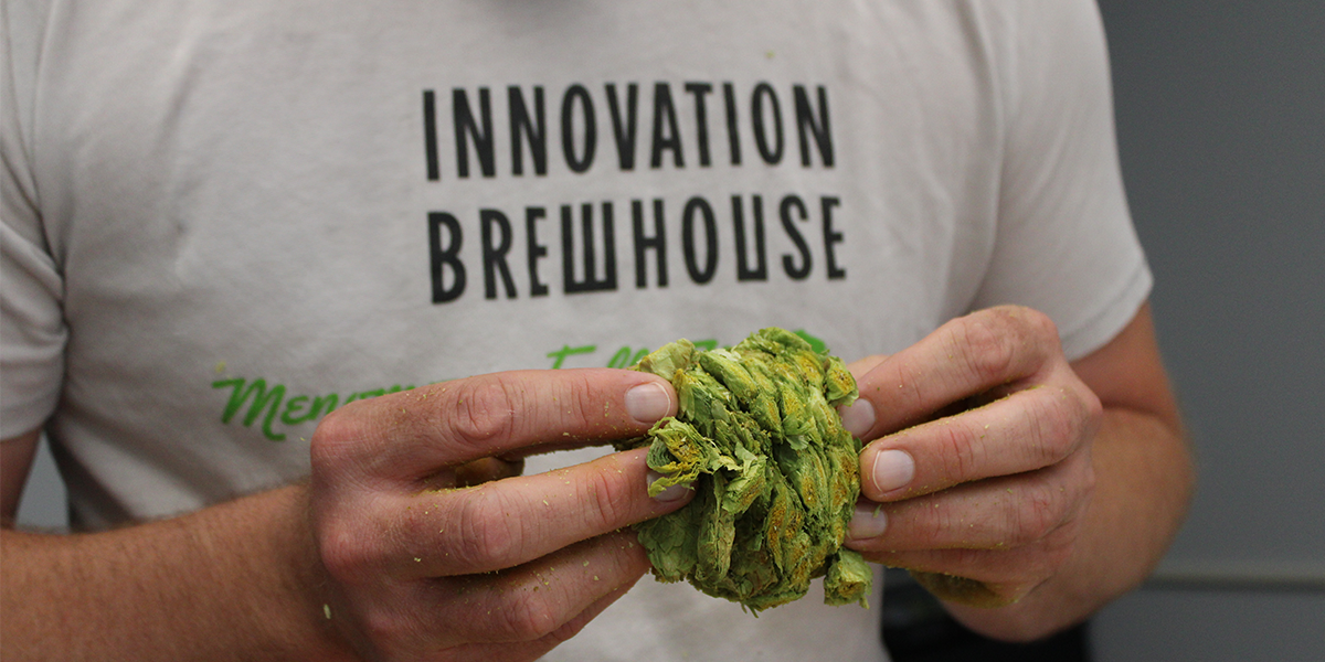 FeBREWary 🍻: A Month Made For Brewers